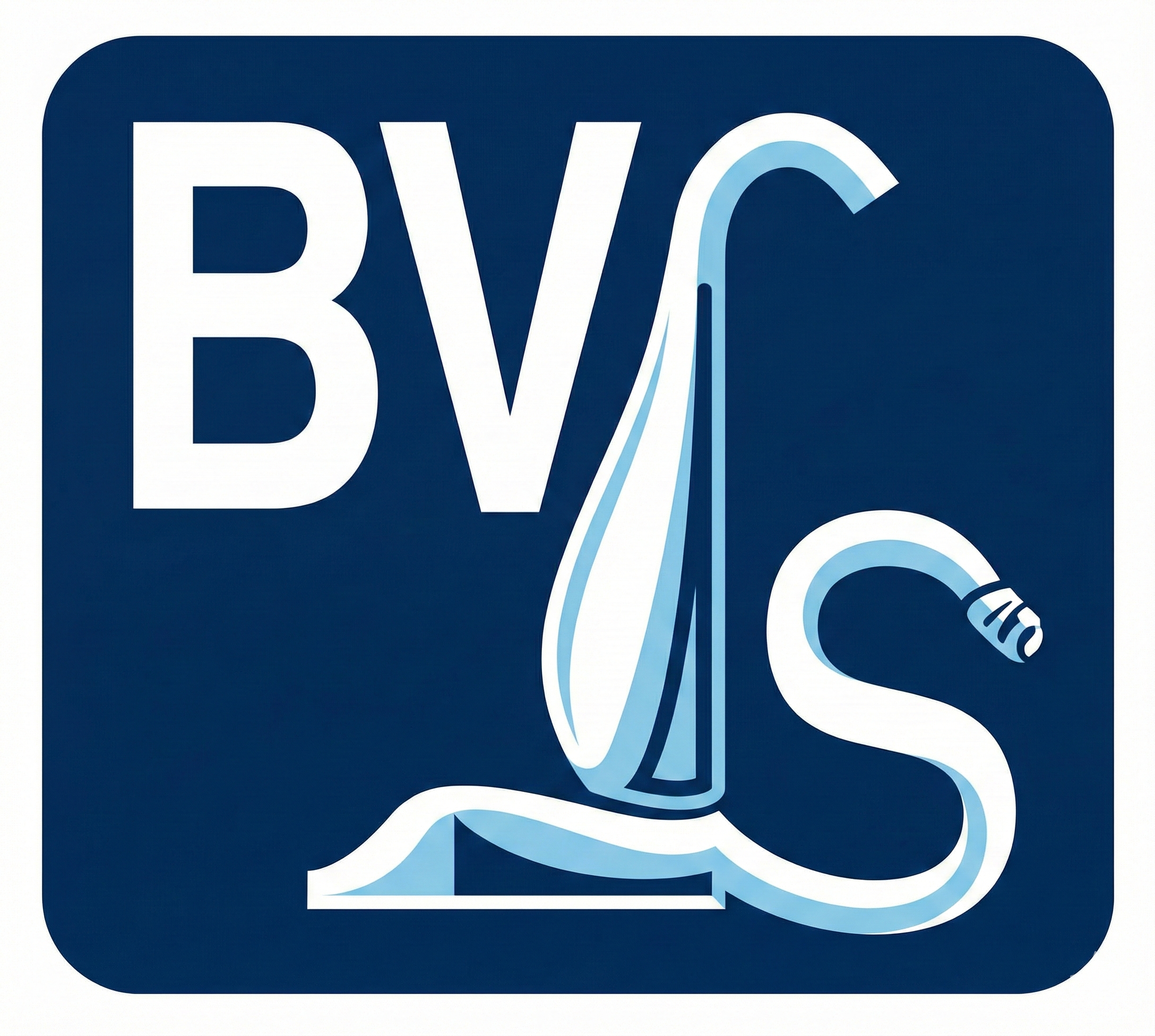 BVS Logo